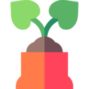 ecology and environment,plant,ground,soil,plant pot,grass leaves,potting soil ok 